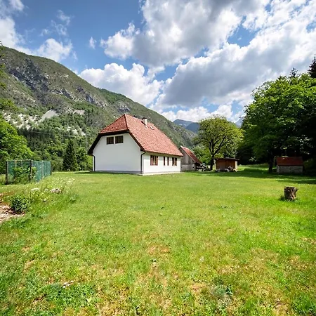 House Flajs - Secluded 2br Surrounded By Forest